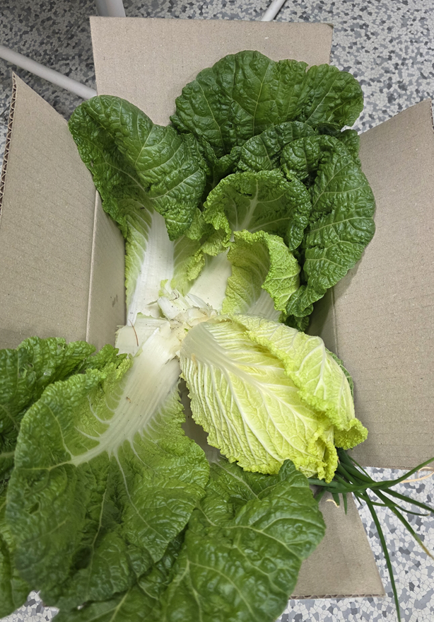 화면 캡처 2025-11-18 182644.png